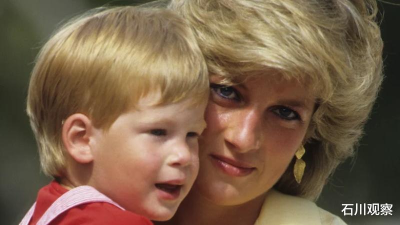 威廉|专家:随着网飞推出《王冠》第五季,威廉哈里的心里可能不好受