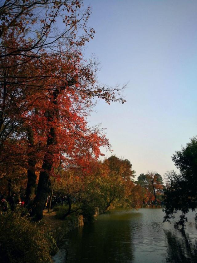 苏州|苏州天平山风景区来一次就不会再来了，因为美的印象太深刻了。