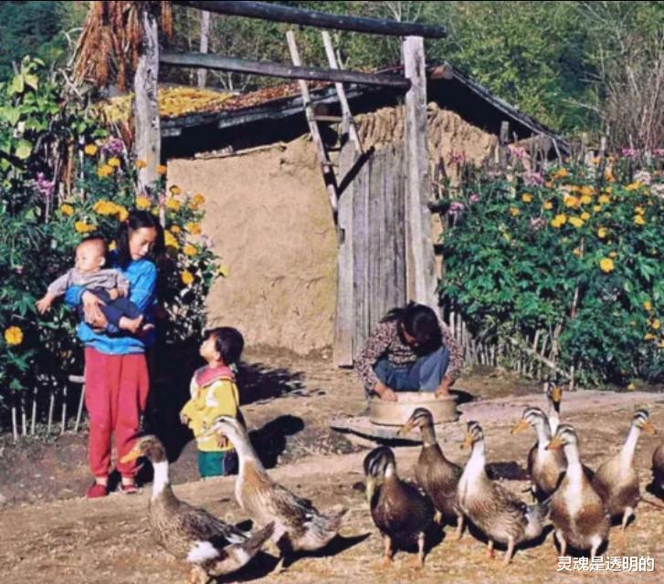 |旅游的人没有农民,归纳起来有三个原因