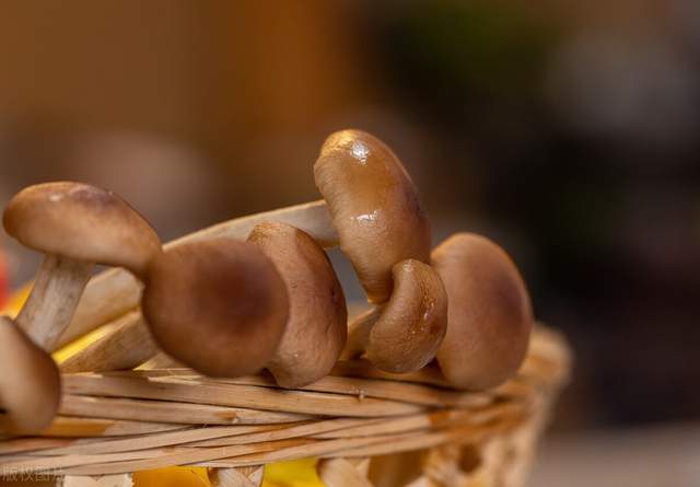 |收藏|10个有趣的职场定律,助你在职场如鱼得水