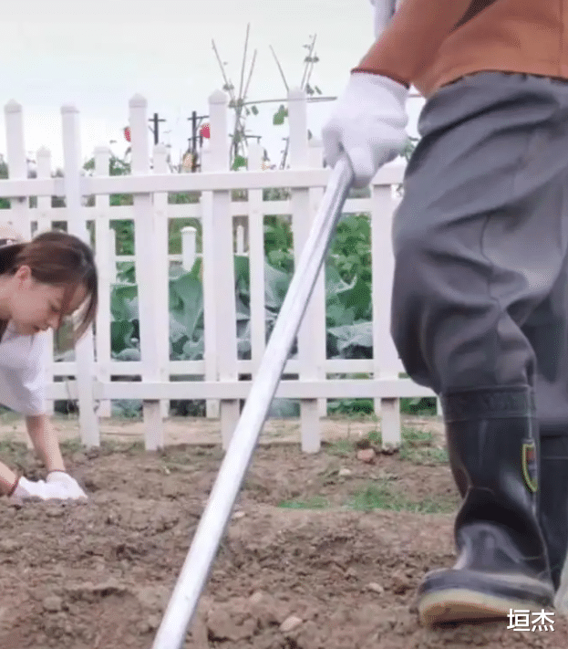 王宝强|人设“憨厚”王宝强,却钟情“恶评不断”的冯清,他到底想要什么