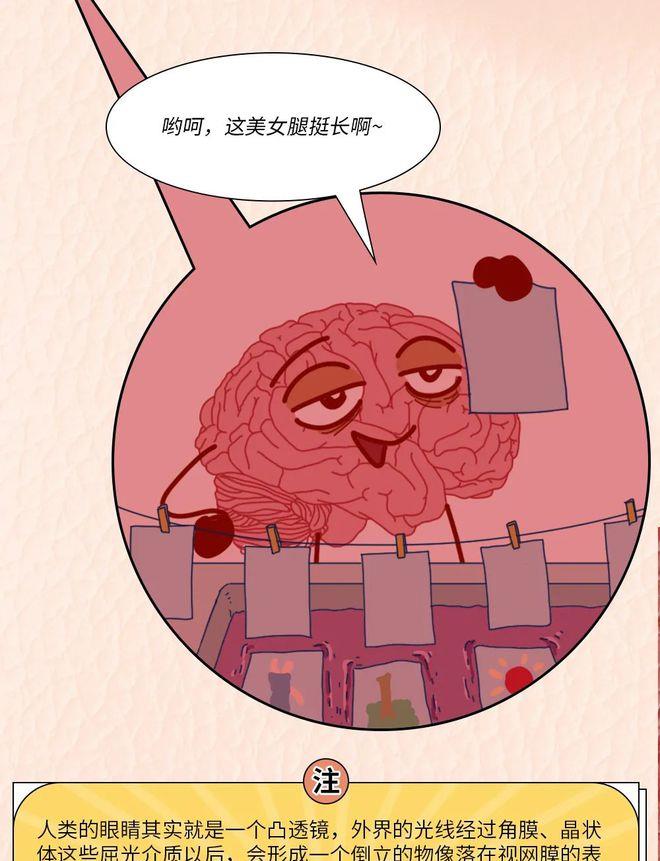 |人类身体bug对照表,看看有没有你想修复的器官?(漫画)