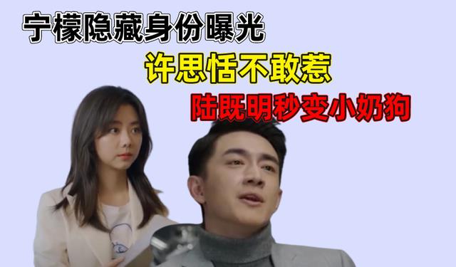 请叫我总监|请叫我总监：宁檬成金牌投资人，一向霸道的陆既明向宁檬服软