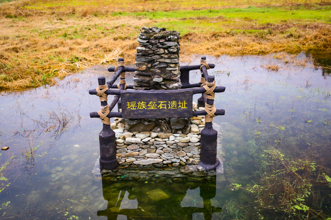 身份证|初冬，这里超萌！