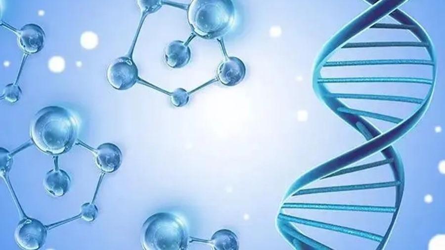 （原创）从基因模块到合成生物，创造“自然”的迷人和危险