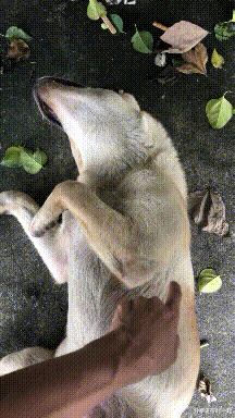 |“钓鱼被咬了一口，谁知道这是什么咬的？”评论区却炸锅了！