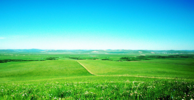 草原|?炎热的夏季去哪里避暑最好呢?文中介绍了4处消夏大草原供您参考