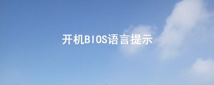 meta|开机BIOS语言提示