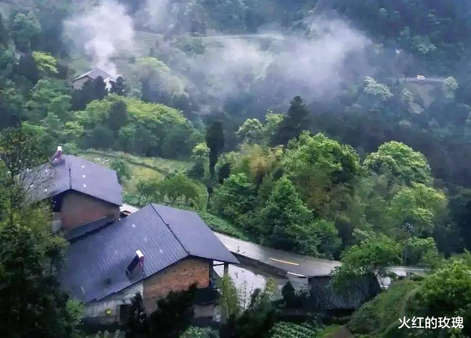 重庆|来场说走就走的旅行，在花海森林中拥抱原生态