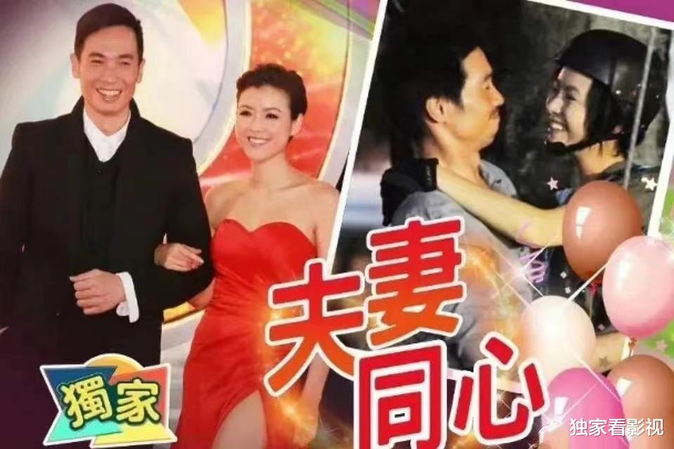 陈茵媺|陈豪和港姐老婆将在剧中谈恋爱！一家五口租房住，曾花800万娶妻