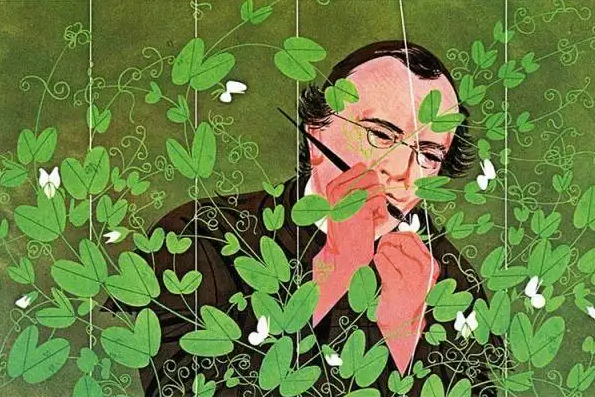 处女情结还真有“科学”根据?不得不讲的遗传奥秘,大家都该知道