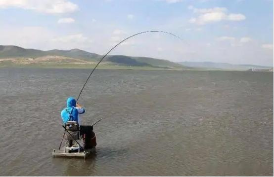 大暑|大暑过后该如何野钓?4个要点决定成败,温度再高也能连竿钓大鱼