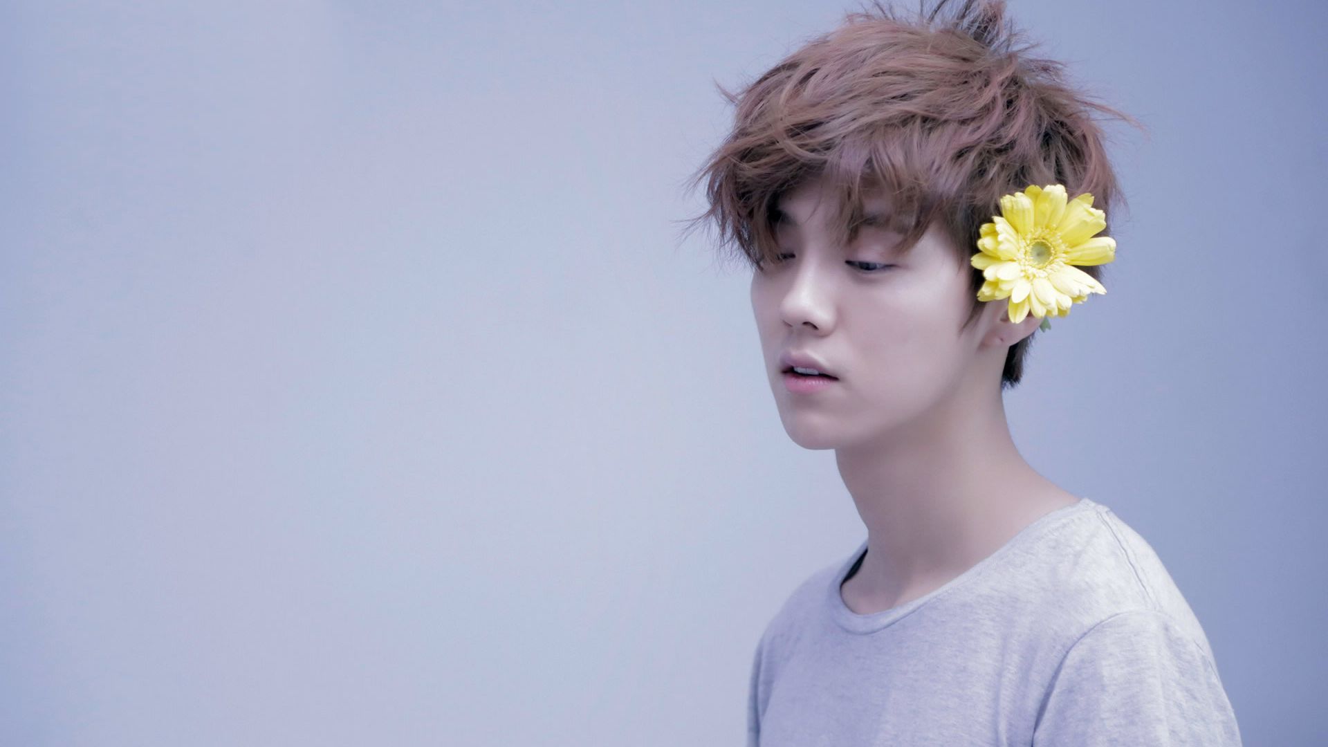 肖战|肖战粉丝为了自嗨，在饭圈以一挑二，对战李易峰粉丝和鹿晗粉丝