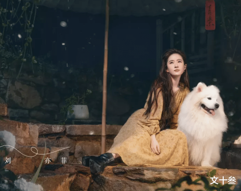 去有风的地方|《去有风的地方》拍得细腻、真实,让人又哭又笑