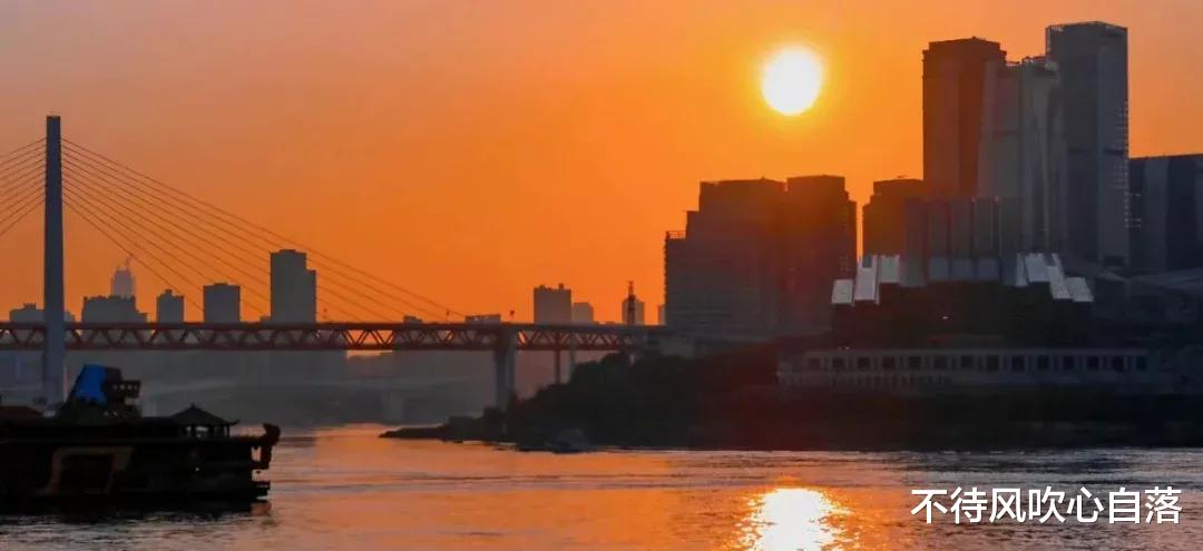 退休|还有1年退休，领导不派工作，同事疏远，看淡3个现实或优雅离开？