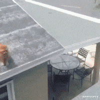 “相亲时女生带全家5口人来吃牛排！我逃单了！”结局引起舒适...