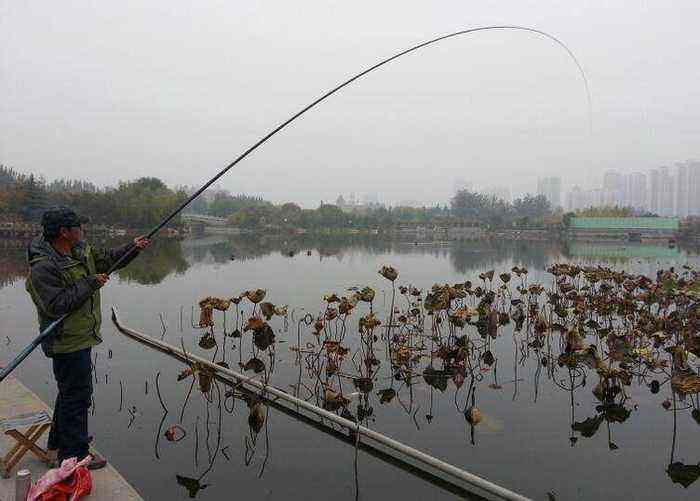 |冬季如何用长竿钓好鲫鱼？普遍存在的三个要点问题要解决好