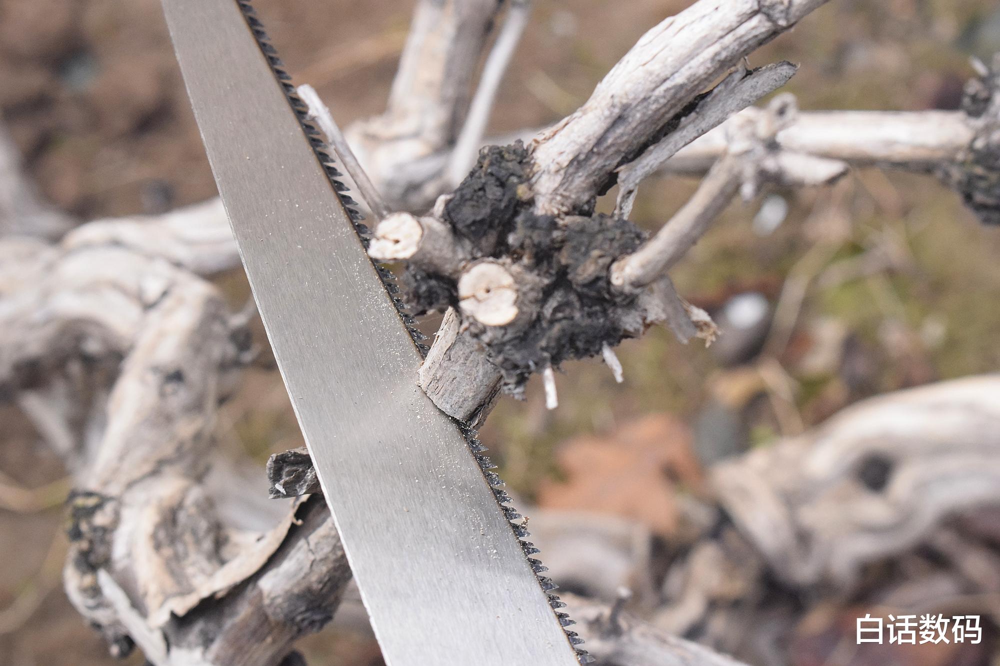 机器学习|户外必备,实用至上!SOG索格多功能野营五件套体验