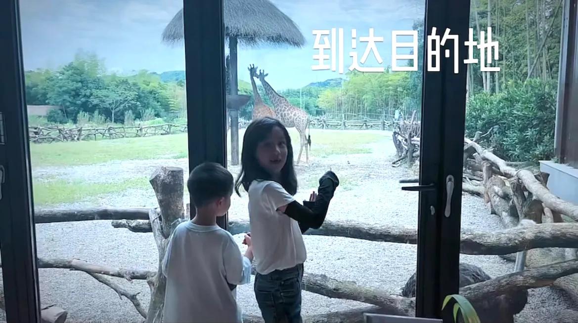 孙莉|孙莉带俩儿女游动物园,多妹对弟弟照顾有加,互动温馨有爱