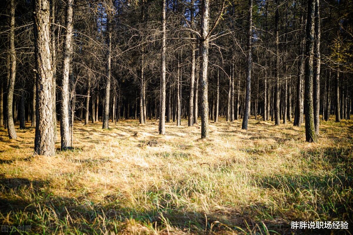 高校|职场中，提防一种“笑面虎”小人，假热心，假帮助，真消耗