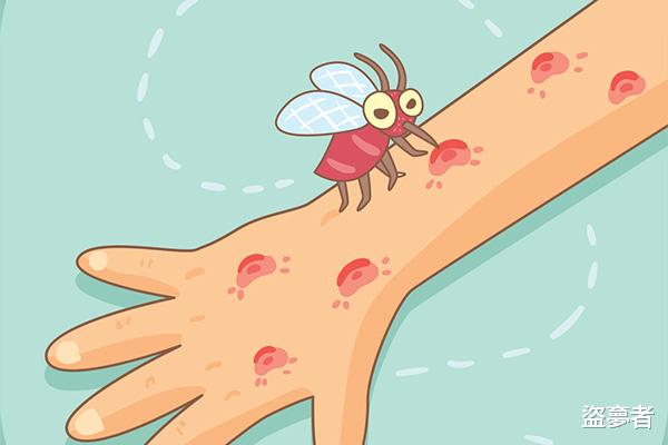 室内消灭蚊子都有哪些实用的好办法？