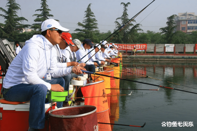 饵料|为何鲫鱼总是越钓越小?鱼钩挪动30公分,效果立竿见影