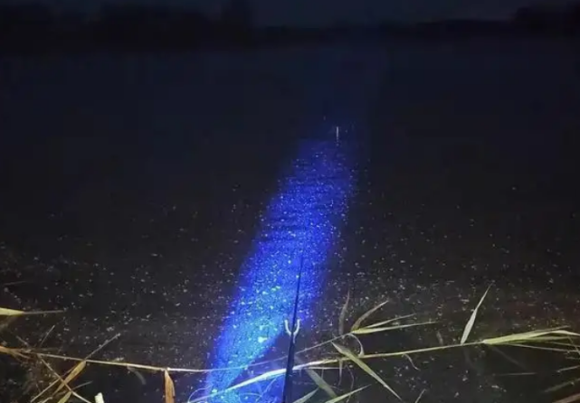 钓鱼指南|7月钓鱼指南:夏至已过“鱼情”已变,想要大鱼狂拉?钓法该换了