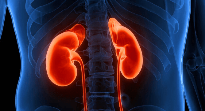 尿毒症|阻止肾功能进展,早采取4个措施结果会很好,不会等来尿毒症