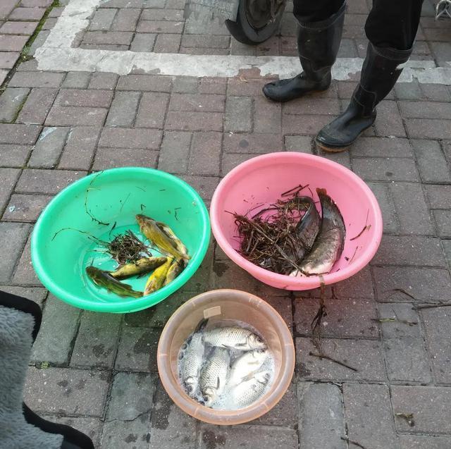 大爷|套路？江西大爷街头出售“垂钓渔获”，15块一斤随便挑