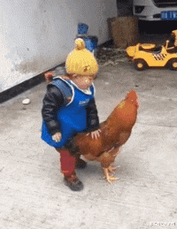 主持人|看了30年新闻联播，才知道主持人后面放那么多电视的原因