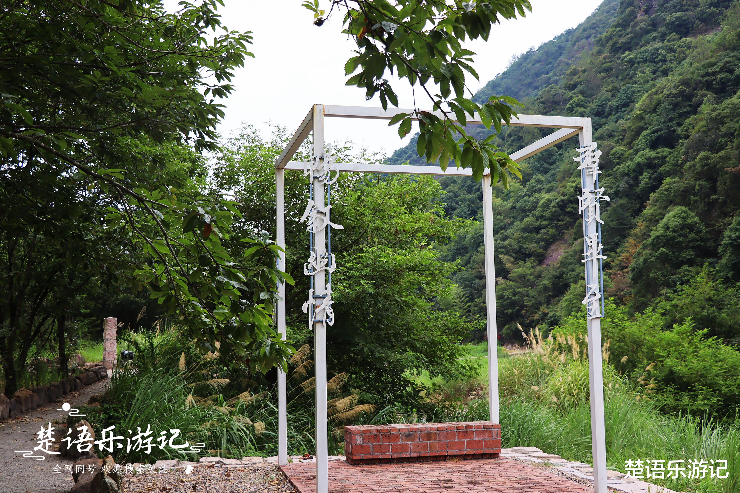 |新昌这个村因一民宿而出名，是山野里的乌托邦？真实情况原来这样
