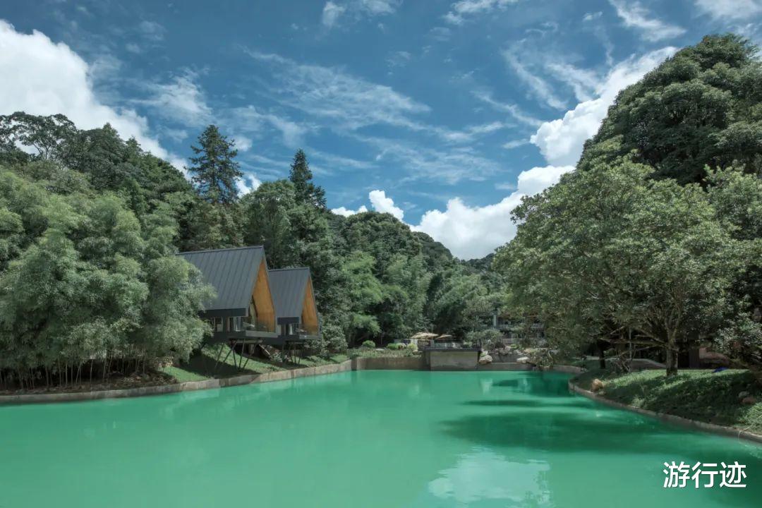 新安江|盛夏避暑来这里!媲美瑞士童话风的树屋秘境!