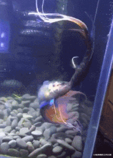 |“十年前后的手机变化有多大？”合着就变了个字母