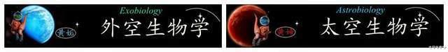 大熊猫的保护遗传学和演化生物学研究