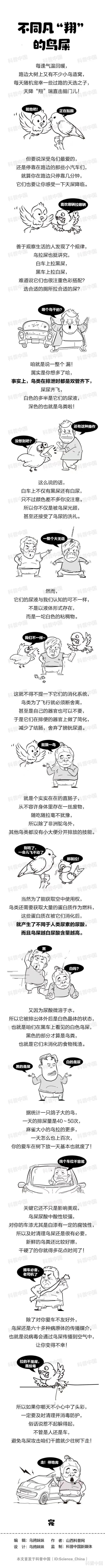为什么鸟喜欢在白车上拉黑屎,黑车上拉白屎?这到底是什么原因