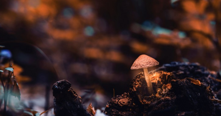 |工作的重要性,你意识到了吗?