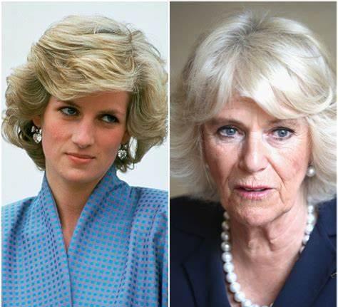 戴安娜王妃|查理三世在争吵时，向戴安娜王妃投掷沉重的木靴托，但没有击中！