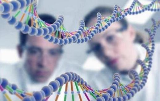 科学家推测几百年后男性可能会消失,进化成“新男性”,为何?