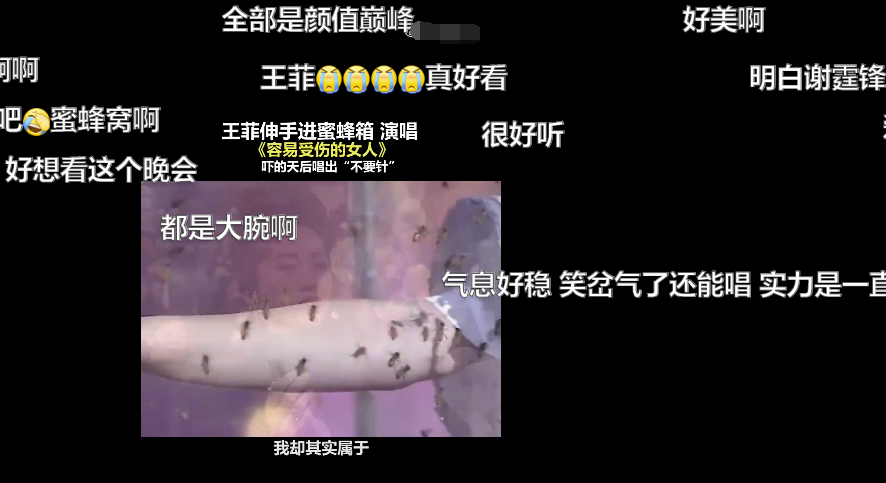 王菲|王菲唱走音了!早年双手伸蜜蜂箱唱歌,一脸惊恐唱错词还害羞