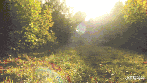 晒完被子的“阳光味”是螨虫的尸体味?教你这么做,干净又杀菌