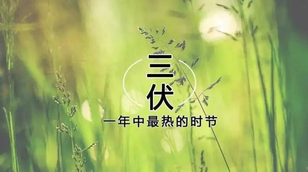 三伏天|2022年什么时候入伏?今年三伏天热不热?夏至节气有答案