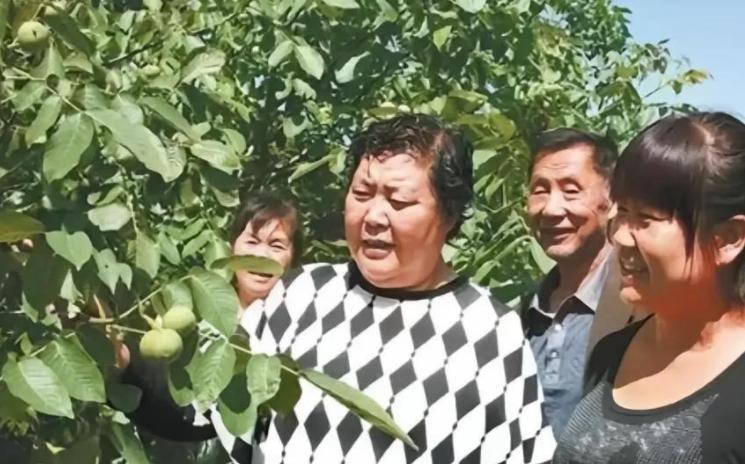 储兰兰|3天内7位名人去世：福娃设计者吴冠英患重感冒，储兰兰年仅40岁