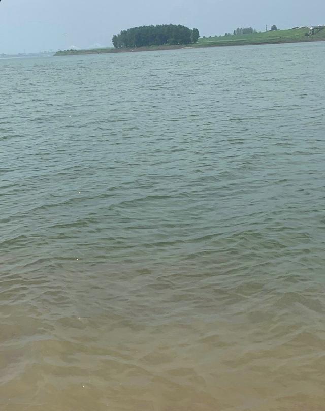 |河蚌也算河鲜？湖南钓鱼人河边捡了几十斤，网友：送我也不吃