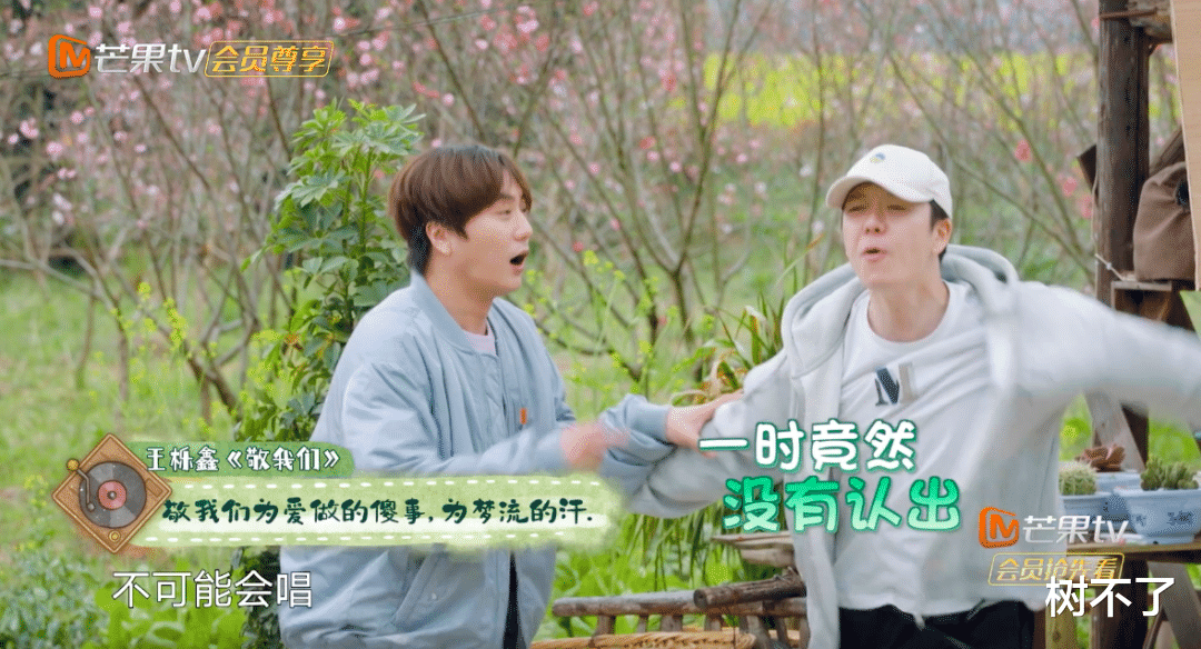 苏醒|恭喜！他们集体宣布复出，娱乐圈谁都拦不住