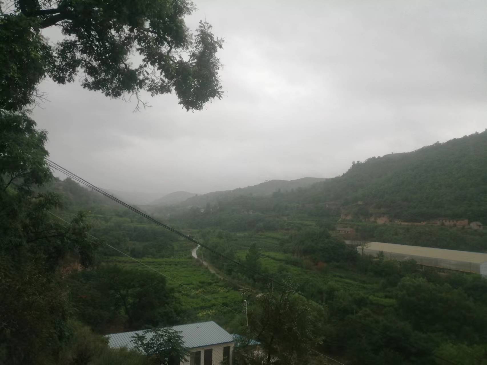 雨后的乡村空气清新绿意盎然