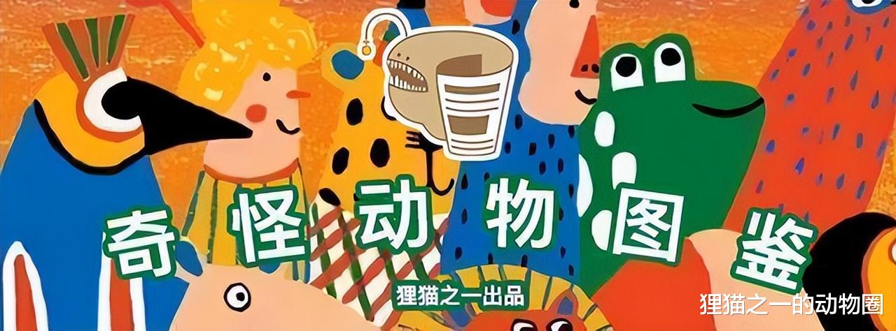 爱吃腐肉的奇特蜜蜂,终生不沾花蜜,它们为什么如此特别?