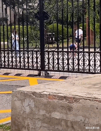 贾乃亮|贾乃亮又曝出一大瓜,这次比出轨还震惊?