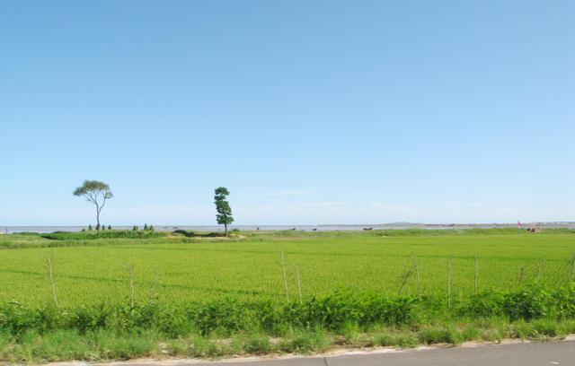 鲤鱼|醉美“大风口”，悠悠父子情