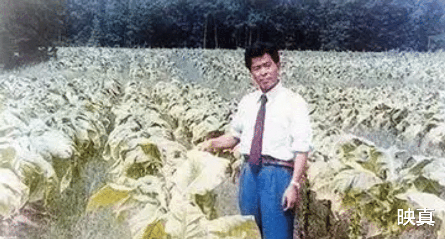 1979年,51岁褚时健出任卷烟厂厂长,遭到排挤,反击方式绝了