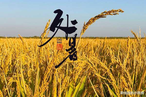 明日处暑,有钱没钱,建议多吃这6种菜,润燥远离秋乏,安稳过秋天